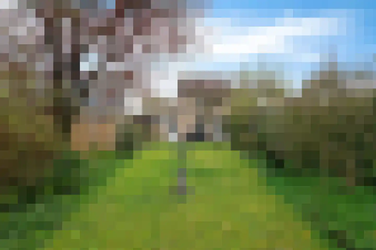 Kerkstraat 4 Berghem thumbnail 4