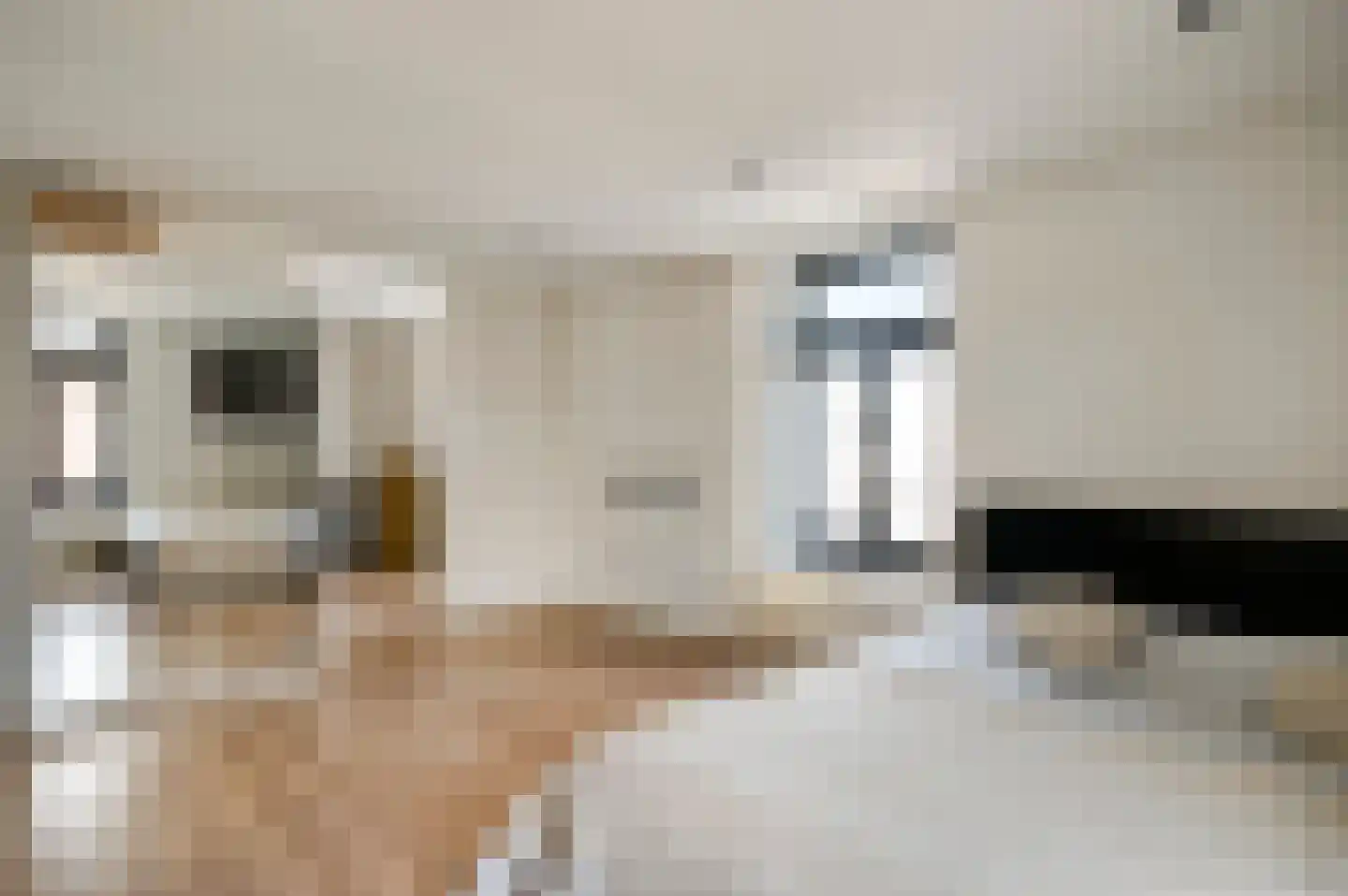Kerkstraat 4 Berghem thumbnail 48