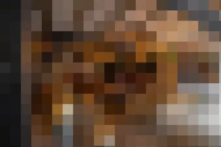 Kerkstraat 4 Eext thumbnail 12
