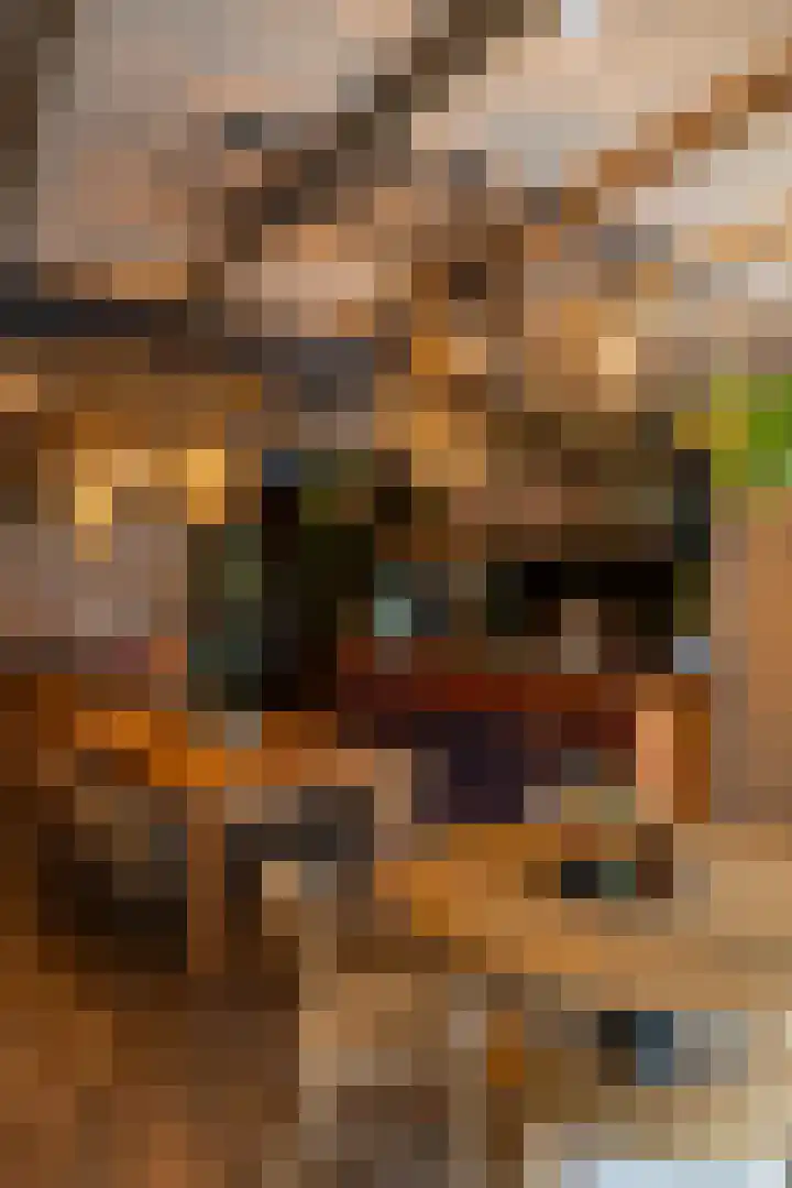 Kerkstraat 4 Eext thumbnail 16