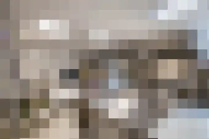 Kerkstraat 4 Eext thumbnail 17