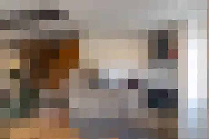 Kerkstraat 4 Eext thumbnail 27