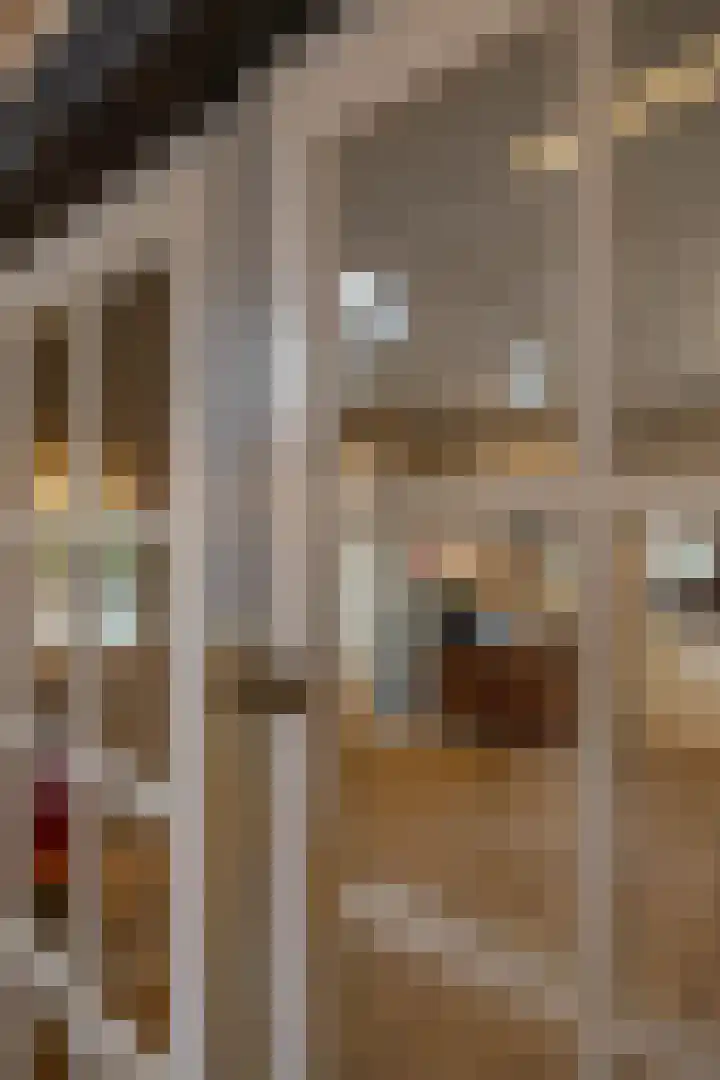 Kerkstraat 4 Eext thumbnail 42