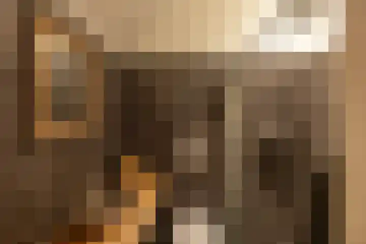 Kerkstraat 4 Eext thumbnail 50