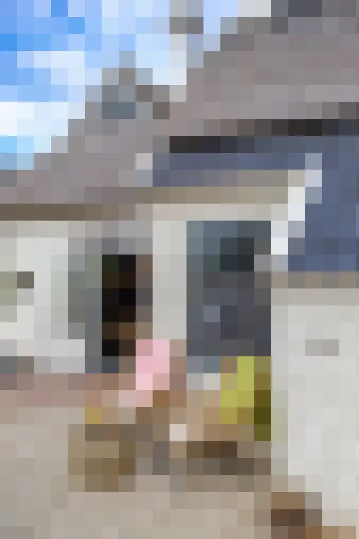 Kerkstraat 4 Eext thumbnail 58