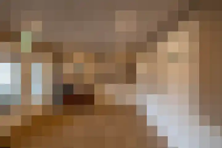 Kerkstraat 4 Eext thumbnail 7