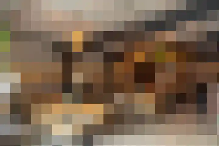 Kerkstraat 4 Eext thumbnail 8