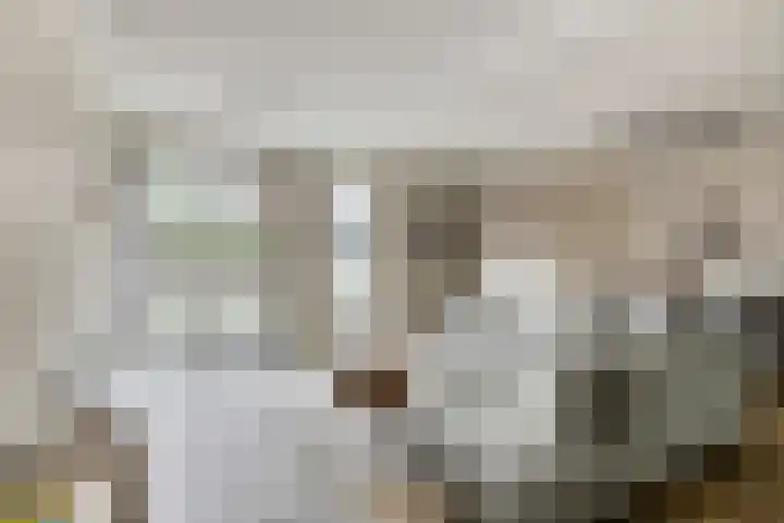 Kerkstraat 40 Hoogmade thumbnail 19
