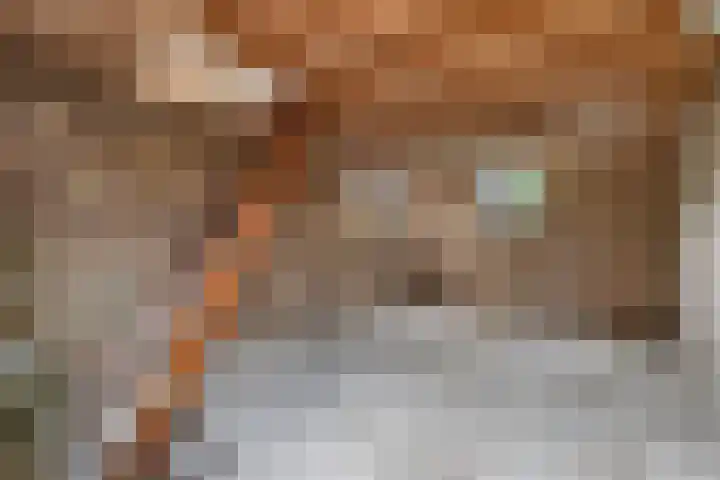 Kerkstraat 40 Wolvega thumbnail 33