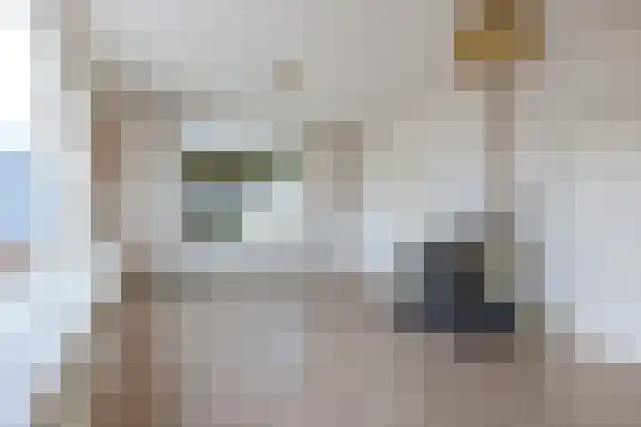 Kerkstraat 40 Wolvega thumbnail 7