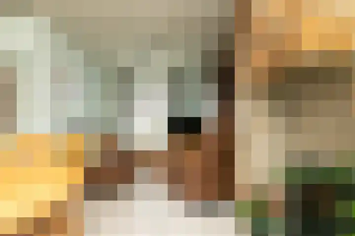 Kerkstraat 42 Hank thumbnail 16