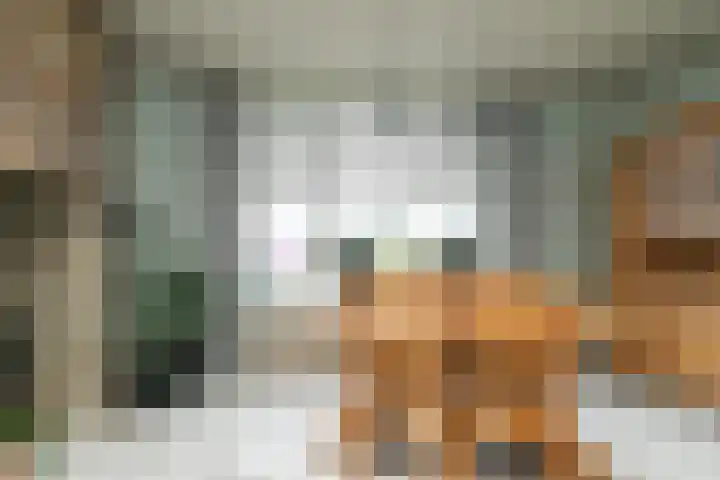 Kerkstraat 42 Hank thumbnail 17