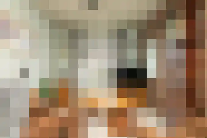 Kerkstraat 42 Hank thumbnail 21