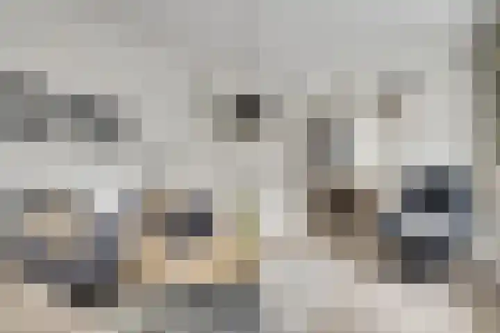 Kerkstraat 43 Nunhem thumbnail 13