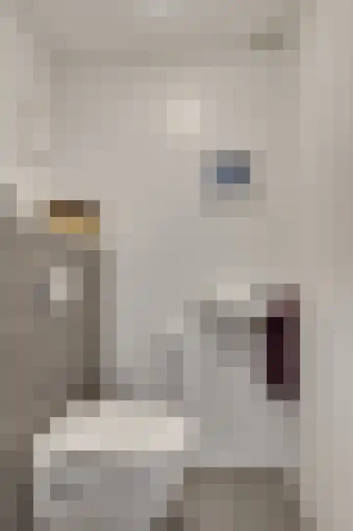 Kerkstraat 43 Nunhem thumbnail 26