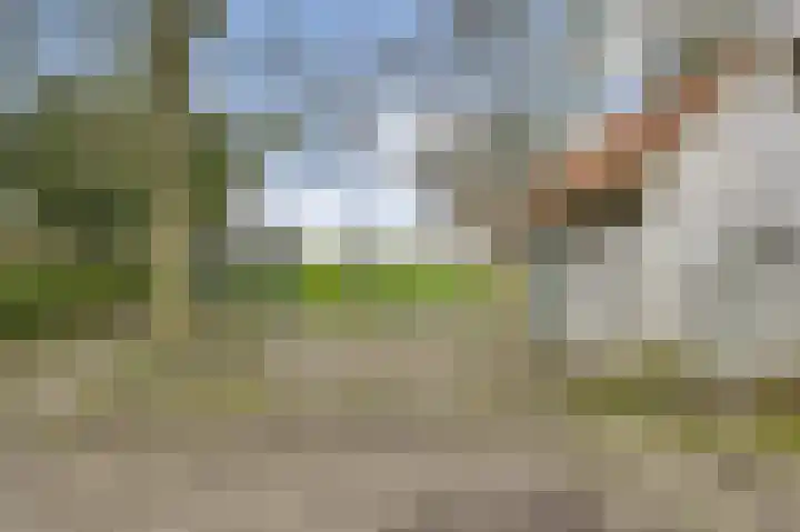 Kerkstraat 43 Nunhem thumbnail 33