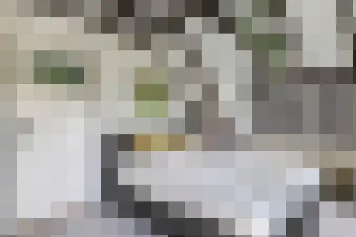 Kerkstraat 43 Randwijk thumbnail 44