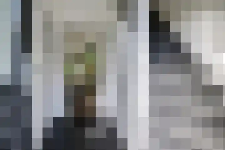 Kerkstraat 43 Randwijk thumbnail 9