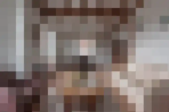 Kerkstraat 5 Heerde thumbnail 41