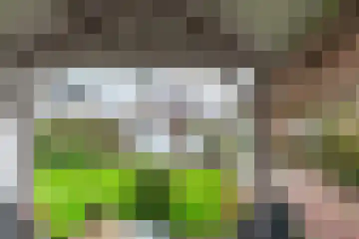 Kerkstraat 5 Heerde thumbnail 46