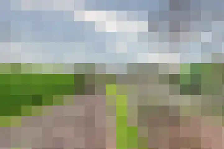 Kerkstraat 5 Heerde thumbnail 49
