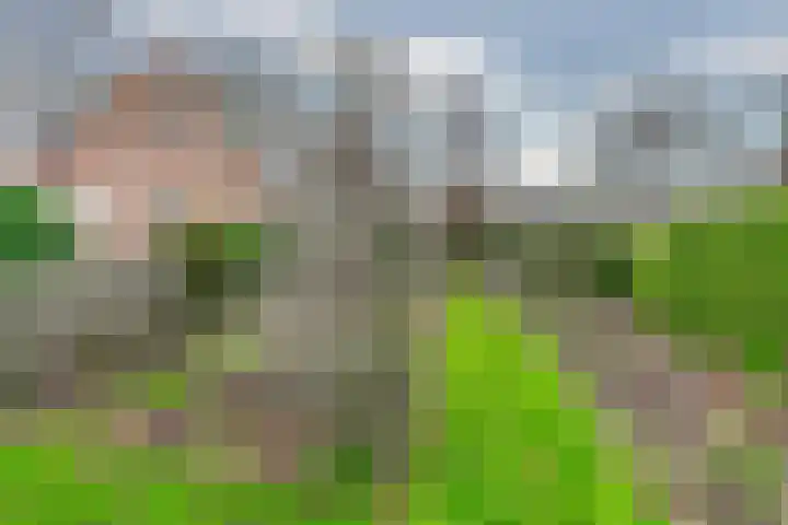 Kerkstraat 5 Heerde thumbnail 52