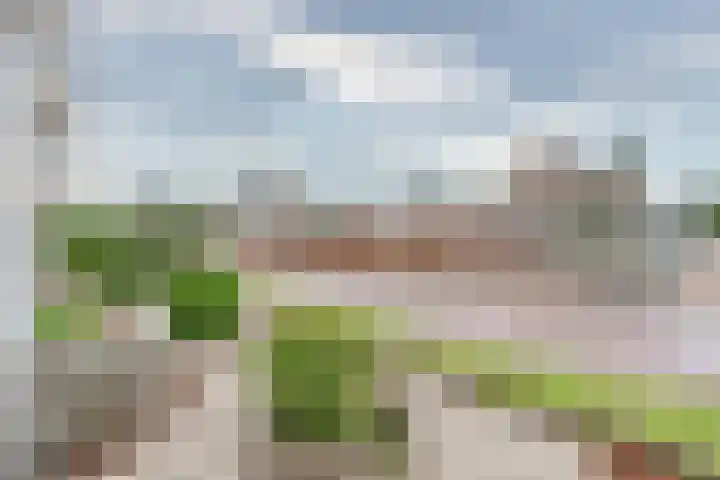 Kerkstraat 5 Heerde thumbnail 54