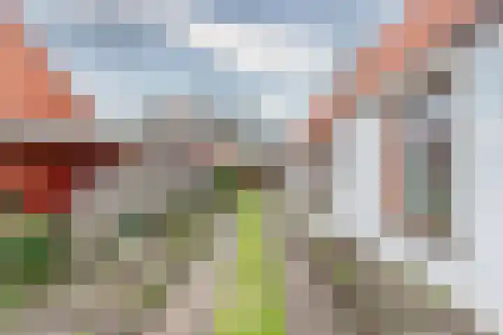 Kerkstraat 5 Heerde thumbnail 9