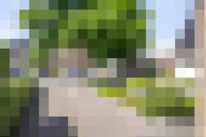 Kerkstraat 54 Wolvega thumbnail 32