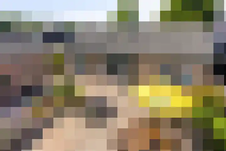 Kerkstraat 54 Wolvega thumbnail 36
