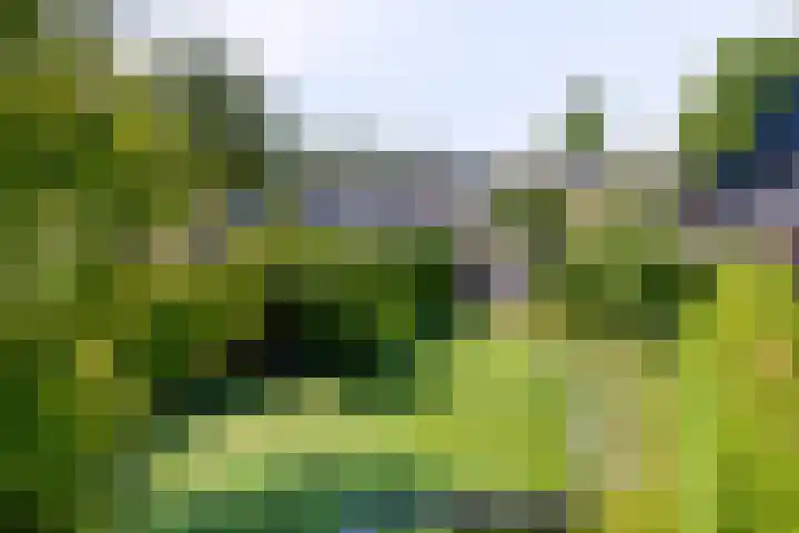 Kerkstraat 54 Wolvega thumbnail 37