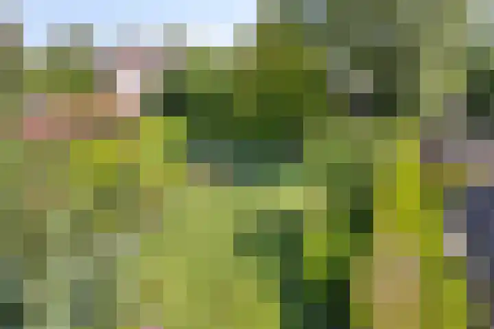 Kerkstraat 54 Wolvega thumbnail 38