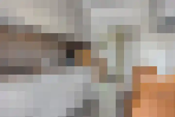 Kerkstraat 54 Wolvega thumbnail 8