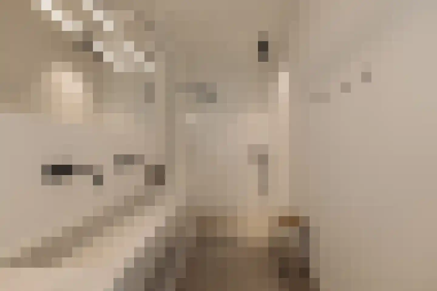 Kerkstraat 58 Amsterdam thumbnail 22