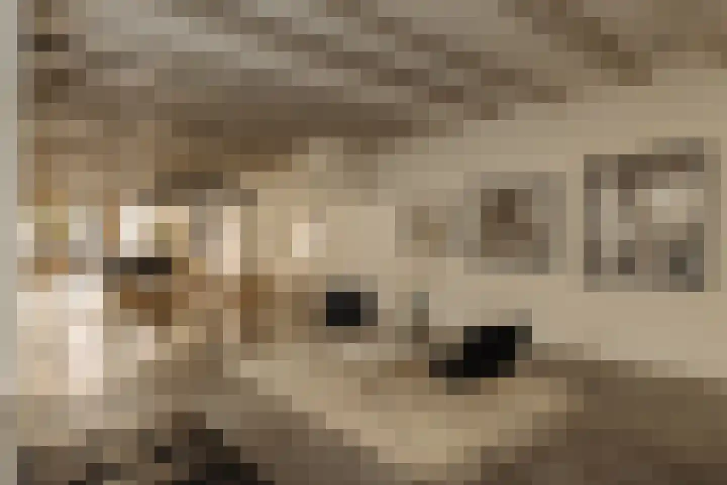 Kerkstraat 58 Amsterdam thumbnail 6