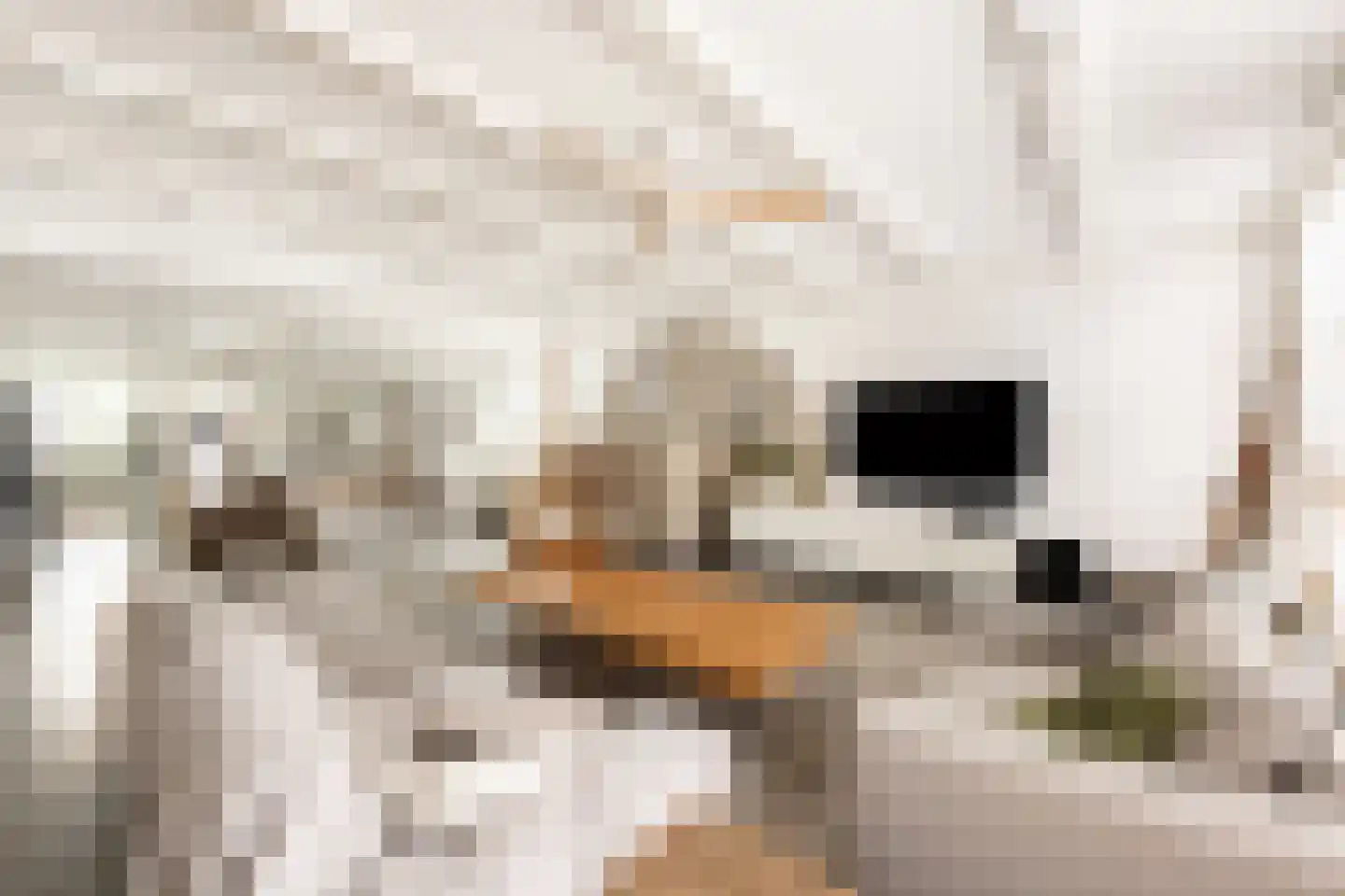 Kerkstraat 6 Makkum thumbnail 22