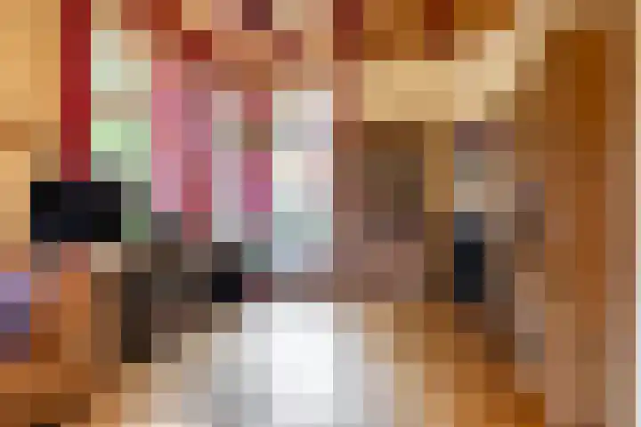 Kerkstraat 6 Usquert thumbnail 20