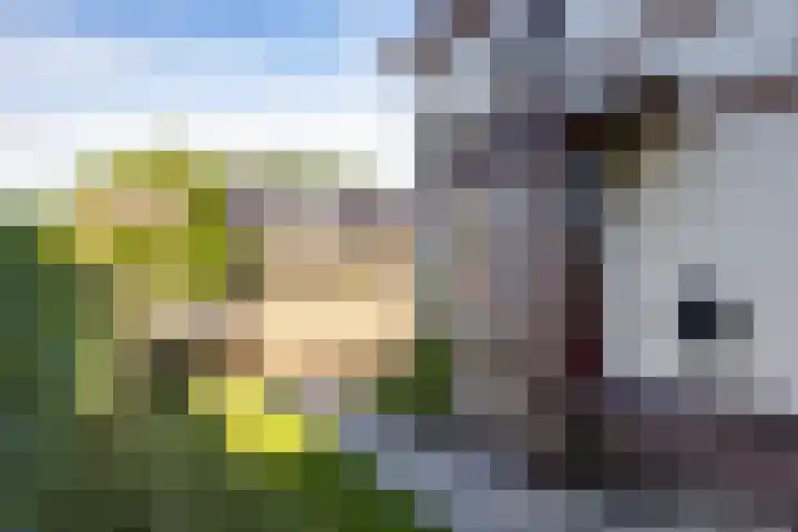 Kerkstraat 6 Usquert thumbnail 52