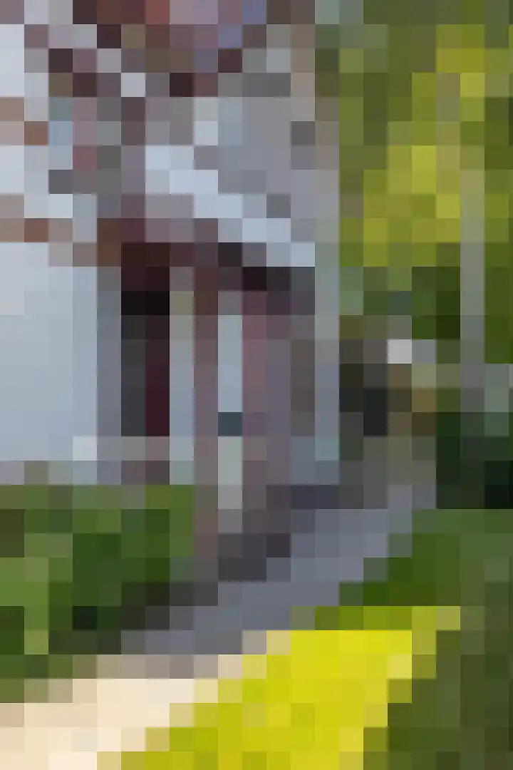 Kerkstraat 6 Usquert thumbnail 57