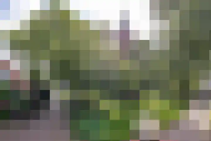 Kerkstraat 6 Usquert thumbnail 58