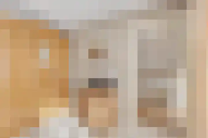 Kerkstraat 64 Didam thumbnail 20