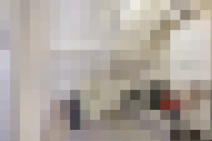 Kerkstraat 64 Didam thumbnail 31