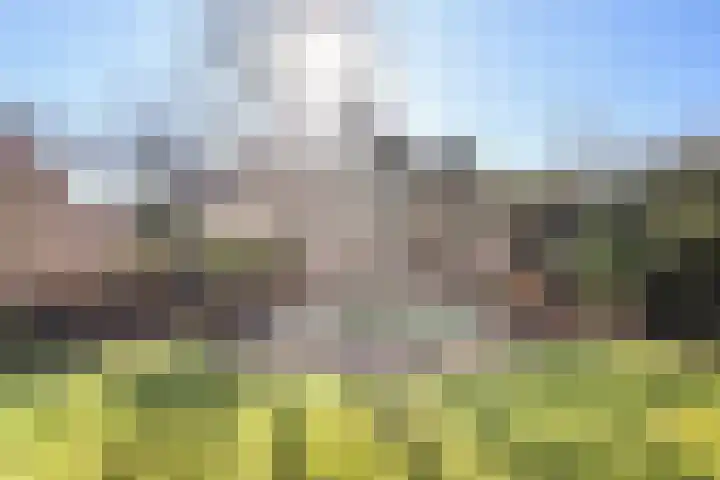 Kerkstraat 64 Didam thumbnail 34