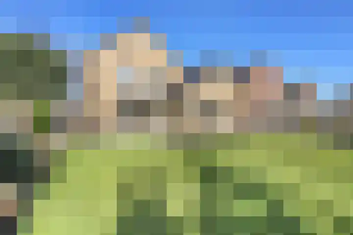 Kerkstraat 64 Didam thumbnail 36