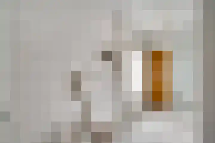 Kerkstraat 66 Weert thumbnail 37