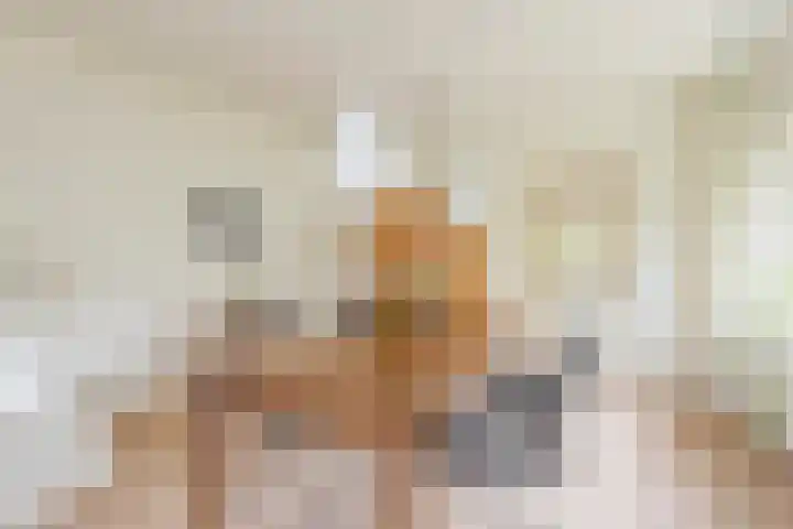 Kerkstraat 7 Rheden thumbnail 13