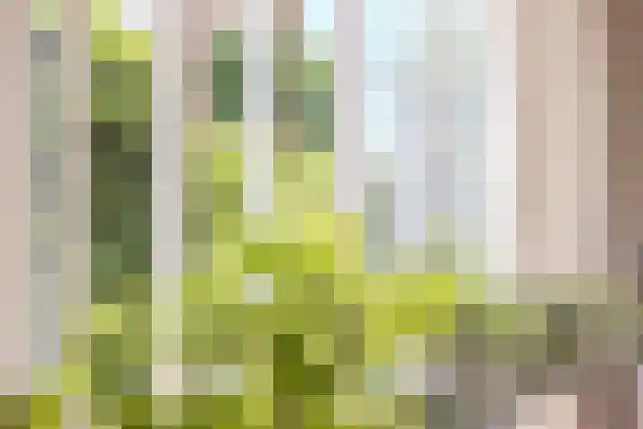 Kerkstraat 7 Rheden thumbnail 14