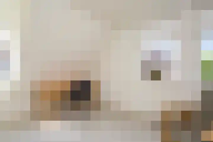 Kerkstraat 7 Rheden thumbnail 21