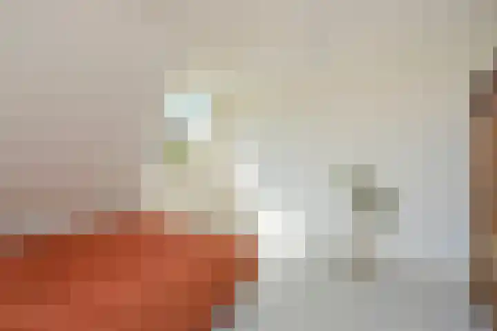 Kerkstraat 7 Rheden thumbnail 23