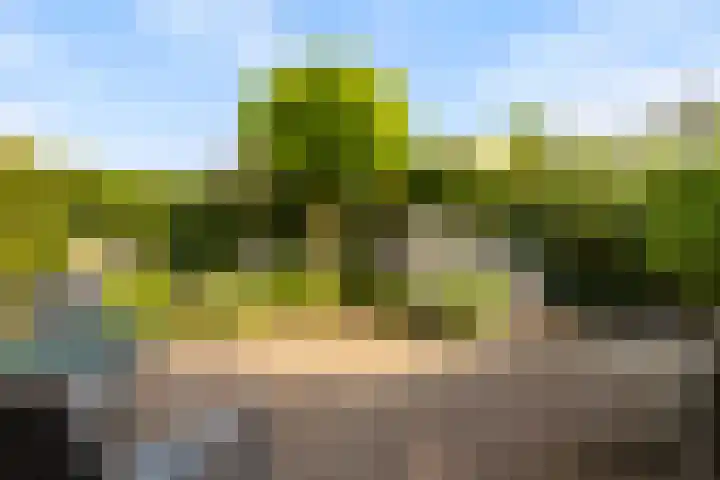 Kerkstraat 7 Rheden thumbnail 26